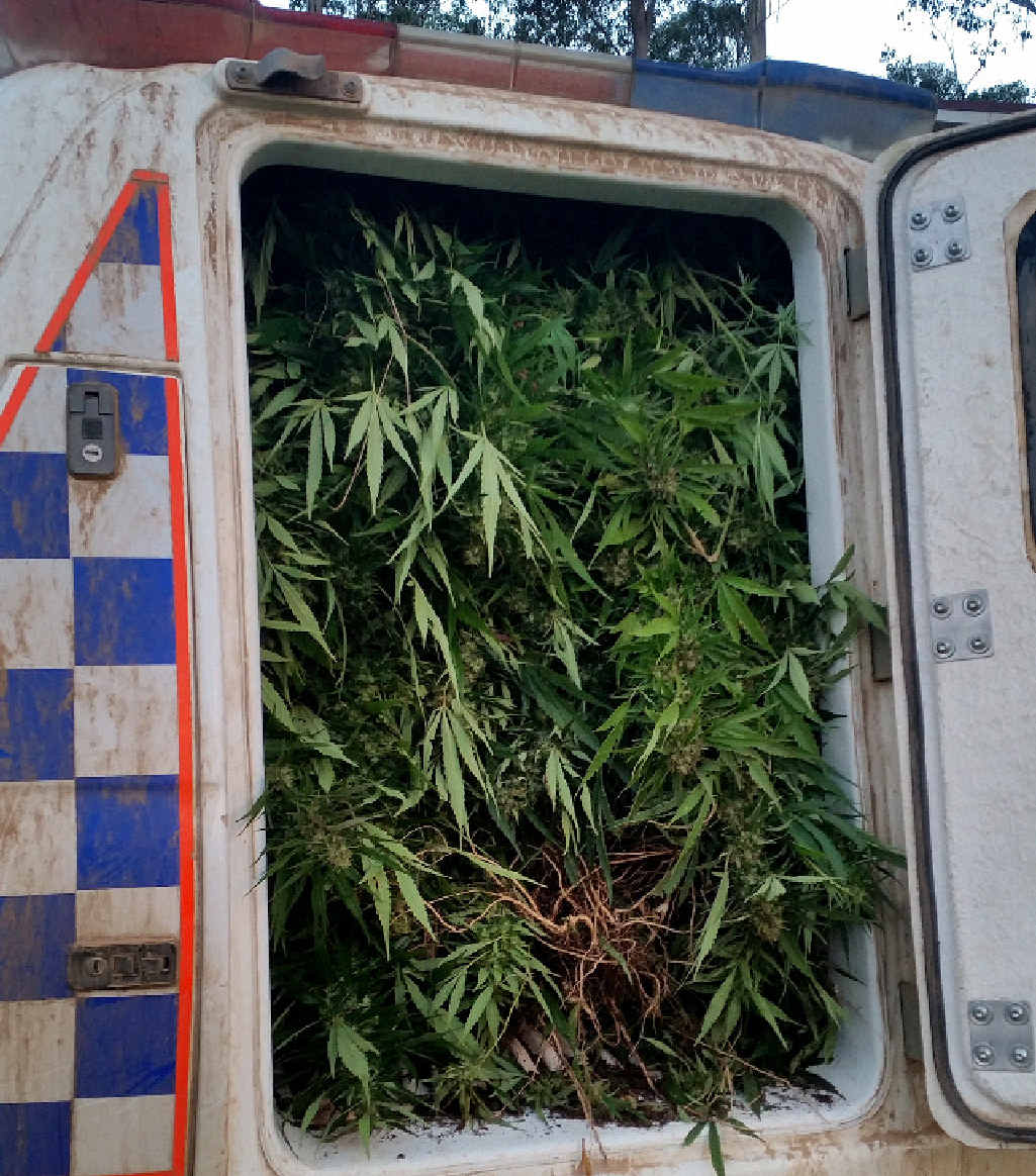 FULL LOAD: This police paddy wagon was full to the brim after an Amamoor Creek raid. FULL LOAD: This police paddy wagon was full to the brim after an Amamoor Creek raid.